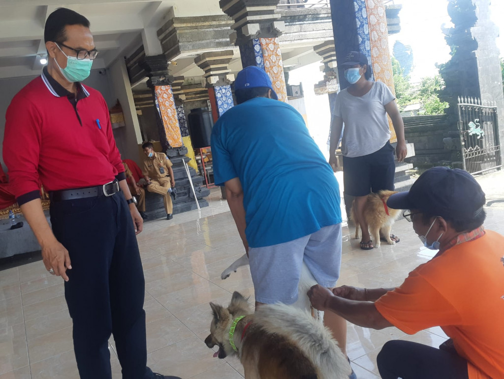 SIKAPI KEMATIAN ANJING DI PANTAI BERAWA, DINAS PERTANIAN TERJUNKAN TIM DOKTER HEWAN